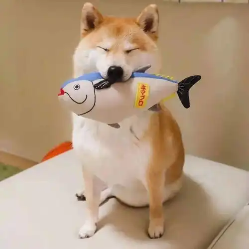  一眨眼就开学了早知道就不眨眼了