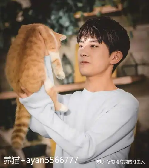  明星猫是指明星养的猫吗