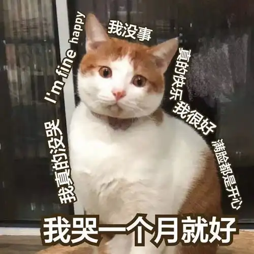 你傻没事我瞎表情包重获