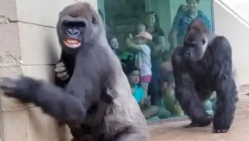  静说科学的个人频道