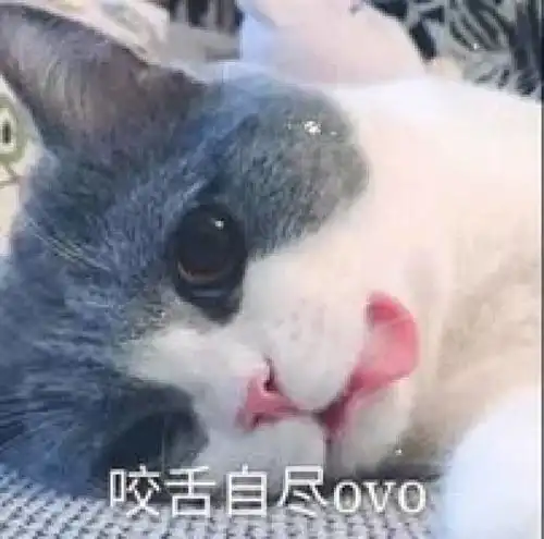  万能斗图表情包,快来收图