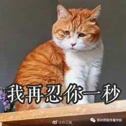  说一说喵星界的表情帝大亨们