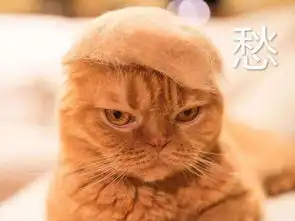  burnup风采节一波土味情话请你收下