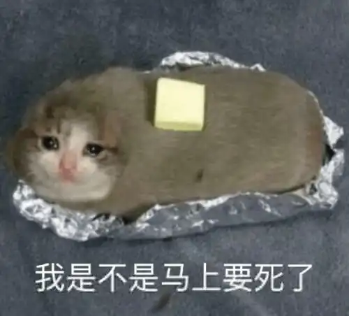 我想笑表情包捣蛋