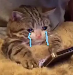 流泪动物头表情看到我流下的眼泪,你的良心不会痛吗 流泪动物头表情看到我流下的眼泪,你的良心不会痛吗