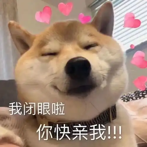  沙雕表情包l早上好读书人