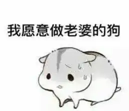 仓鼠夫君君表情图片下载仓鼠夫君妻奴表情包无水印版下载飞翔下载 仓鼠夫君君表情图片下载仓鼠夫君妻奴表情包无水印版下载飞翔下载