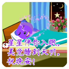  晚上好打招呼问候语