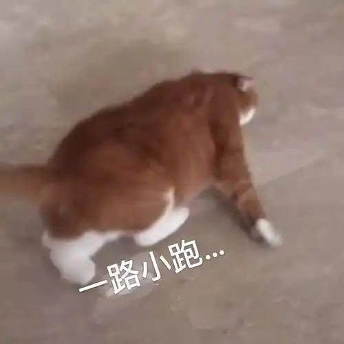  520适合买什么价位的礼物合适