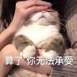  神装秀超高法躲129偃师,脚底抹油,键盘看了都失手