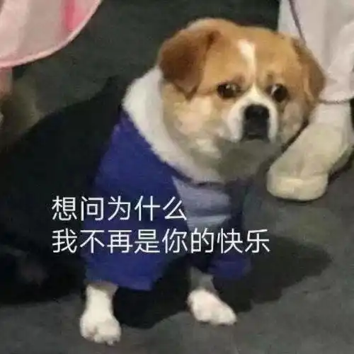  幽默笑话小哥,配合下,我就想找个借口离婚