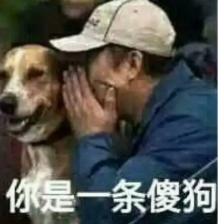  买米线笑死我了
