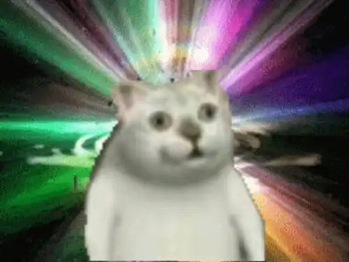  mur猫表情包小集合