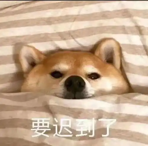 狗托表情包全尸