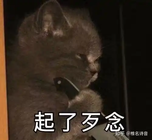 被人偷拍是种怎样的体验 被人偷拍是种怎样的体验