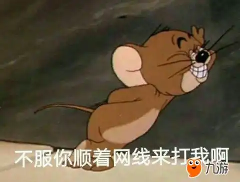 担心表情包猫咪老鼠