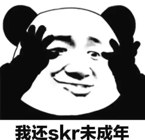  突然很火的skr究竟是个什么东西