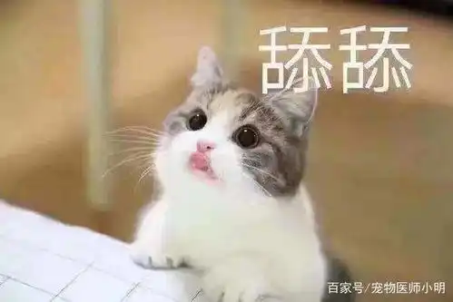  主人没喂雪糕,猫咪仰天长啸朕要吃,吃到你倾家荡产