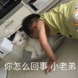  说出来你可能不信,这些人才是当代尬聊界的高手