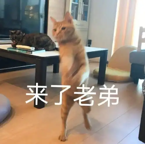  表情包注意你的身份和说话方式