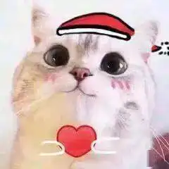  粉丝投稿沙雕表情快陪我玩