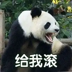 一波大熊猫萌系表情包 一波大熊猫萌系表情包