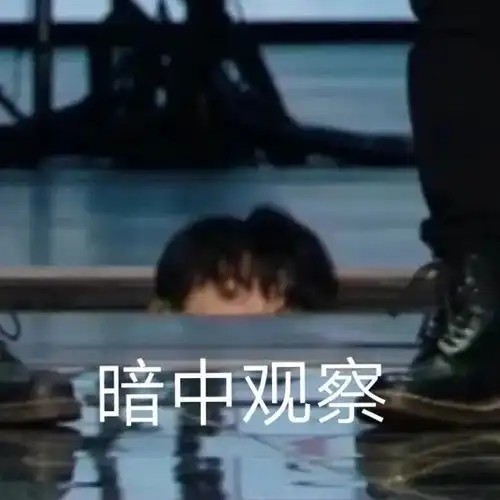  想看的和爱看的