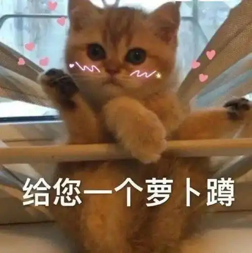 沙雕狗子表情包行骗
