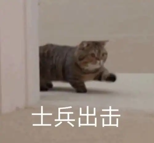  聊天斗图表情包丨甜心我来啦