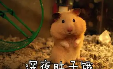  冰桶未走血桶又来有点过了