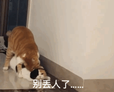 男女动图搞笑表情包搞笑