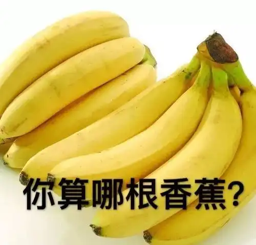 求小饼干表情包大全图灵
