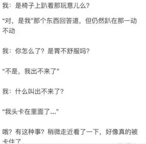  五一小长假的快乐请查收,加上这25张搞笑图片就是双倍