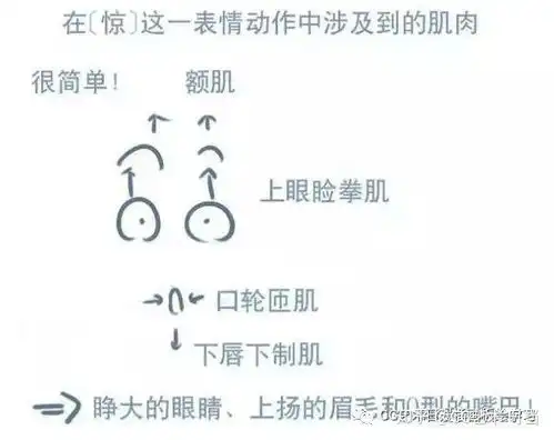  绘画板绘丨动漫人物五官的画法,告别面瘫脸,表情难点解析来了