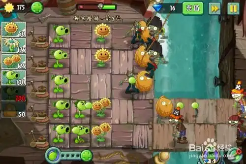  植物大战僵尸2第9天海盗港湾