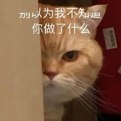  每日精选沙雕表情包