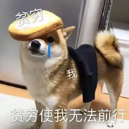  哔哩哔哩专栏
