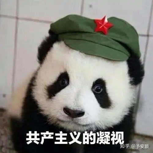 非常感谢表情包搞笑