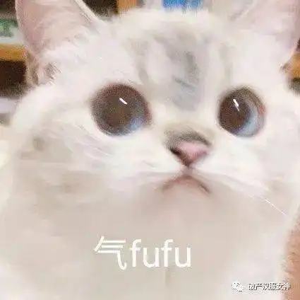  11月19日表情包合集