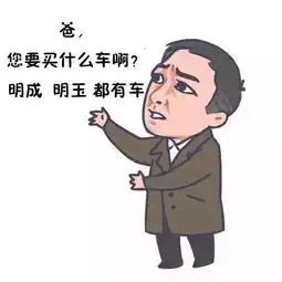  明哲啊我要买车