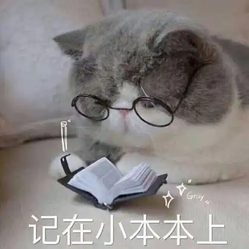  小饼干,猫咪表情包要么