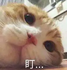 担心表情包猫咪开心