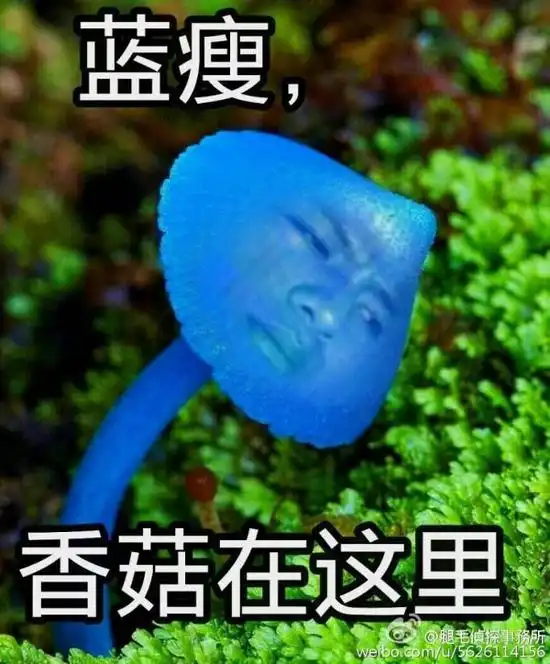  蓝瘦,香菇这个梗刷爆了票圈,最新表情包请收好