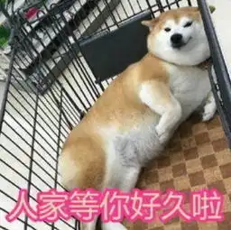  来了携号转网服务管理规定发布这九件事都不能做