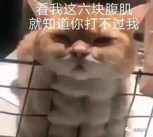 春节回家前vs回家后,我可太南了