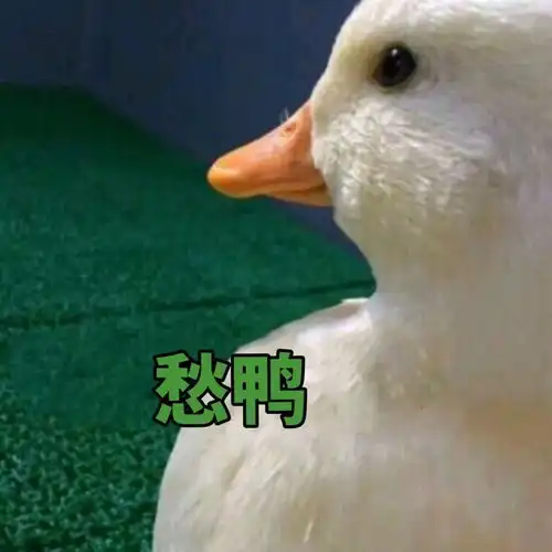  快醒醒吧,这些浪费钱的网红护肤品千万不要再买了