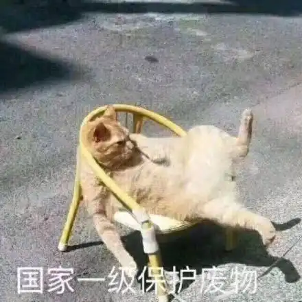  蜡笔小新收到蜡笔小新收到表情