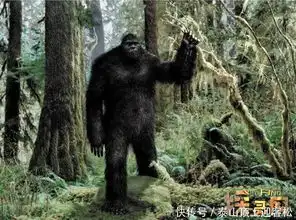 澳洲神秘野人幽威,长相凶猛的类人生物