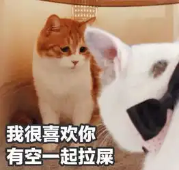  喵星人给你丢了个表情包你算哪块小饼干