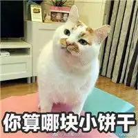  你算哪块小饼干什么梗,你算哪xxx是什么意思